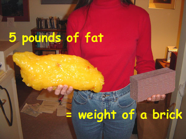 fat 5lb pounds lbs pound lb looks visual weight kilos human overweight equal weighs 5lbs five extra many lost brick