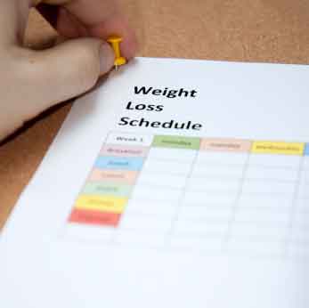 weight loss schedule